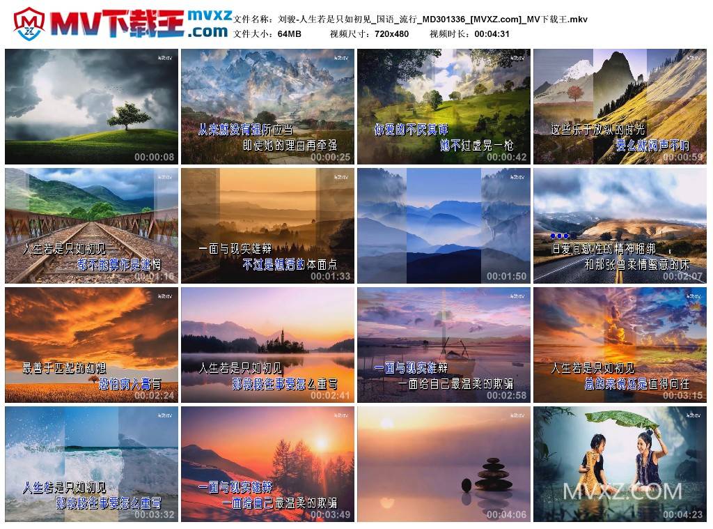 刘骏-人生若是只如初见_国语_流行_MD301336